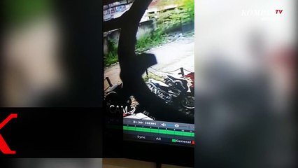 Ternyata Ini Peran Maling Motor yang Mengaku Seorang Advokat