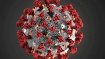 New coronavirus strain emerges in UK: Is India prepared?