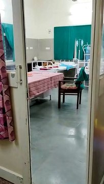 ट्रामा सेंटर के बेड पर आराम फरमाते हुए कुत्ते का वीडियो हो रहा वायरल