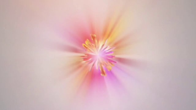 Daily Use English Sentences | Spoken English | Useful Short Sentences | Learning English