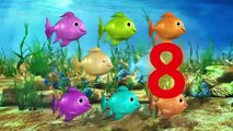 12345 Once I Caught A Fish Alive! | Nursery Rhymes | by LittleBabyBum!