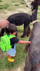 Kim böyle bir kucaklaşmaya hayır diyebilir ki?