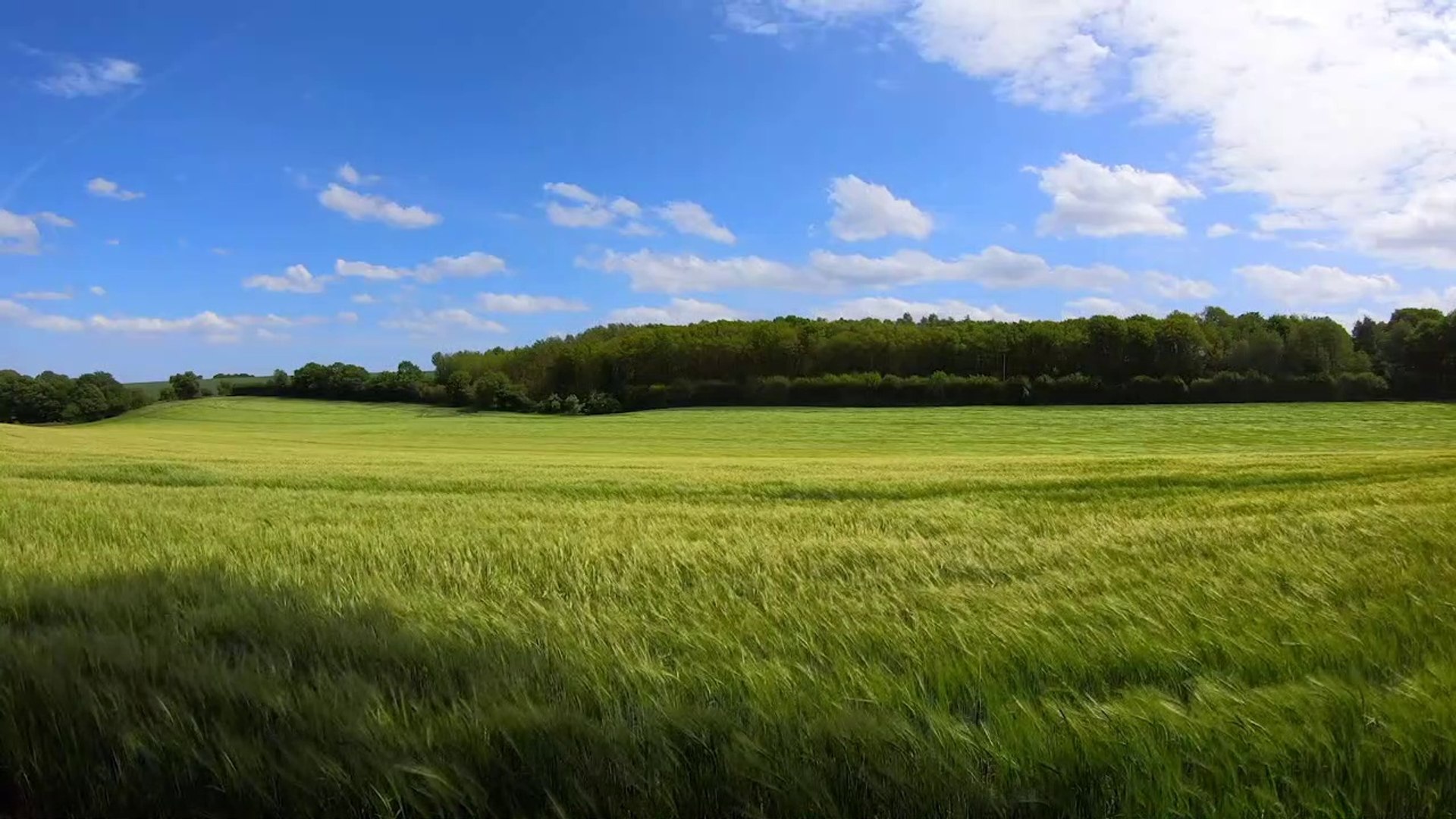 ⁣Landscapes, Relaxing Music, Sleep Music, Study Music, Focus Music, Meditation Music