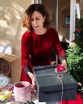 Άγριες μέλισσες: Δεν φαντάζεστε πού στόλισε χριστουγεννιάτικο δέντρο η Κατερίνα Διδασκάλου