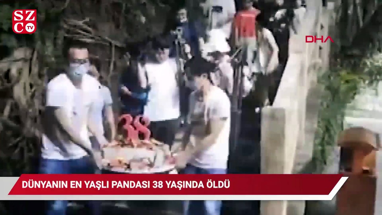 Dünya'nın en yaşlı pandası 38 yaşında öldü