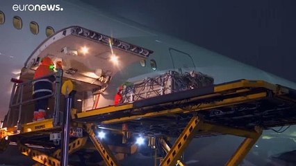 Russia, due leopardi persiani atterrano a Mosca