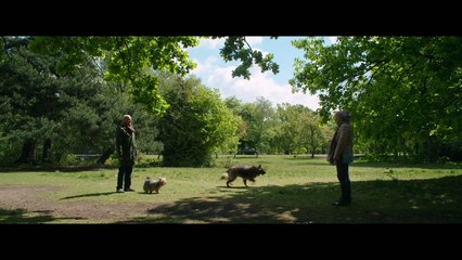 23 paseos - Tráiler oficial VOSE