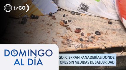 Download Video: Cierran panaderías donde elaboraban panetones sin medidas de salubridad | Domingo Al Día