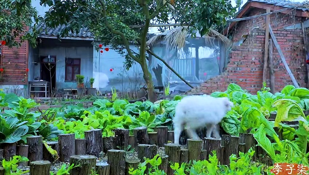 Happiness-filled family dinner, fortune and wellness filled year ahead