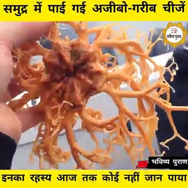 Samundra me pai Jane wali ajibo garib chij