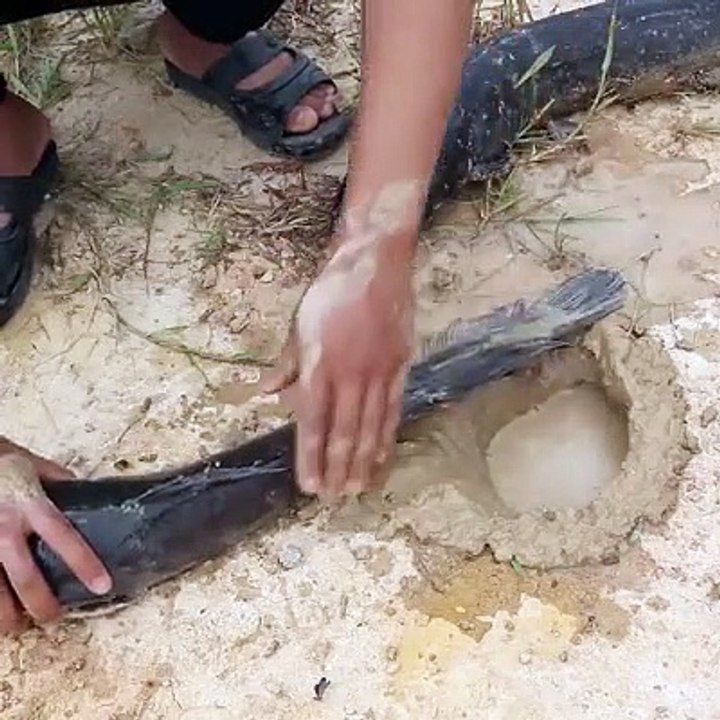 Fish pkarne ka new tacnic