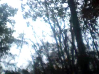 Ave Maria 60bpm instrumental with melody