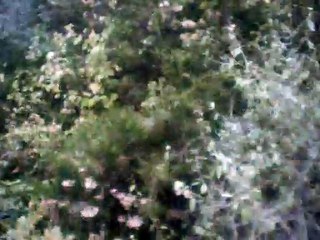 ave maria 120 bpm instrumental