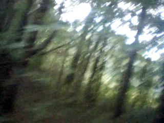 ave maria 120 bpm melody