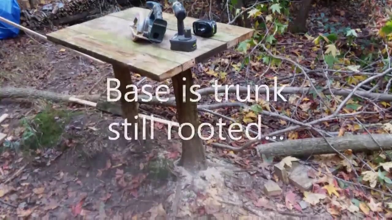 DIY Tree Trunk Table & a Light