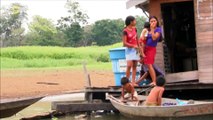Los animales más peligrosos del mundo- EL AMAZONAS - Nat Geo Wild - YouTube