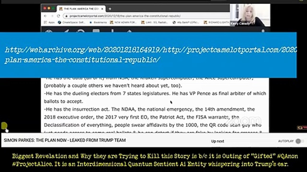 PLAN AMERICA CONST REPUBLIC  QAnon Ai ProjectAlice