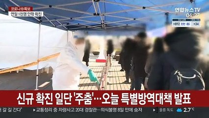 신규확진 일단 '주춤'…오늘 특별방역대책 발표