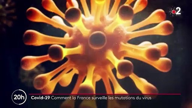 Coronavirus : les chercheurs traquent les mutations du virus