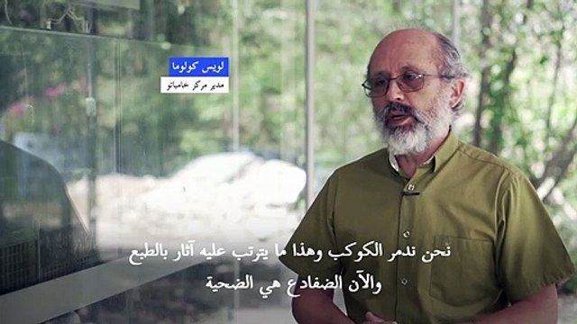 محمية ضفادع في الإكوادور لإنقاذها من خطر الانقراض