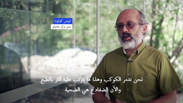 محمية ضفادع في الإكوادور لإنقاذها من خطر الانقراض