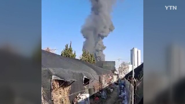 과천 화훼 비닐하우스 화재 5시간 만에 진화...1명 다쳐 / YTN