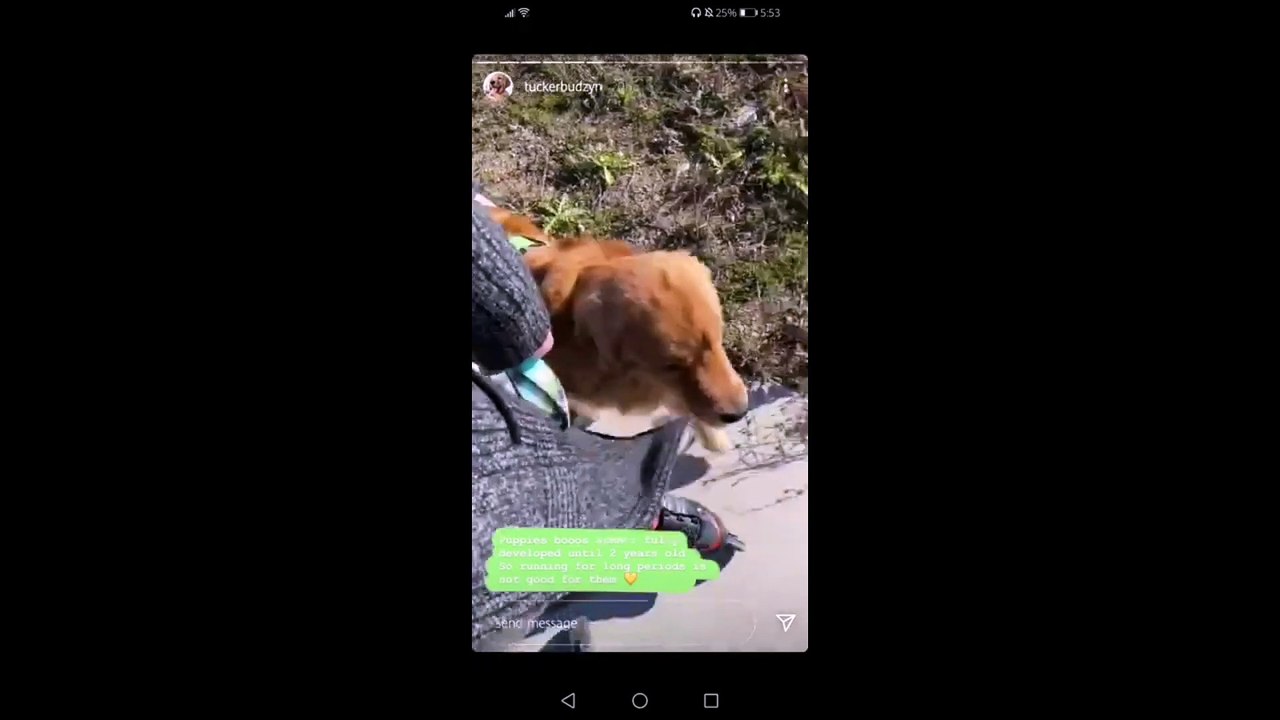 Tucker Budzyn Compilation part 1