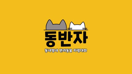 [동반자] "우리 애 귀여운 거 모르는 사람 없게 해 주세요~~!!"  / YTN