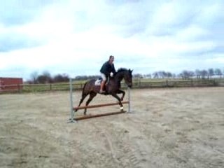 Quix avec Tony 2ème séance