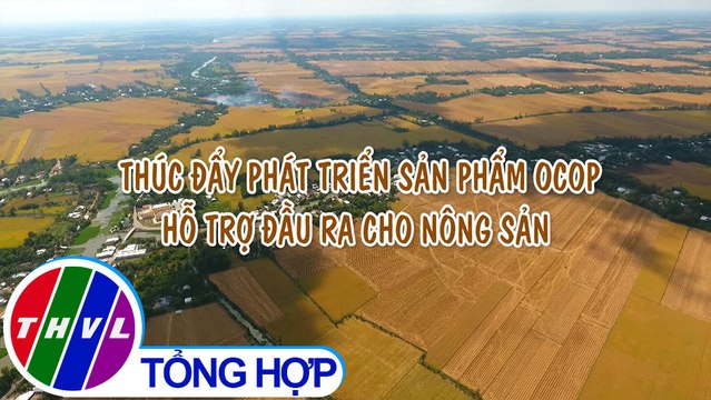 Nông nghiệp bền vững: Thúc đẩy phát triển sản phẩm OCOP hỗ trợ đầu ra cho nông sản