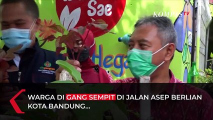 Inovatif! Warga Bandung Bertani di Lahan Sempit