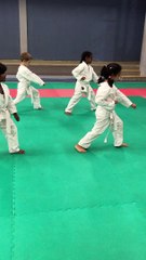 LES PREMIERS PAS VERS LA MAITRISE ???