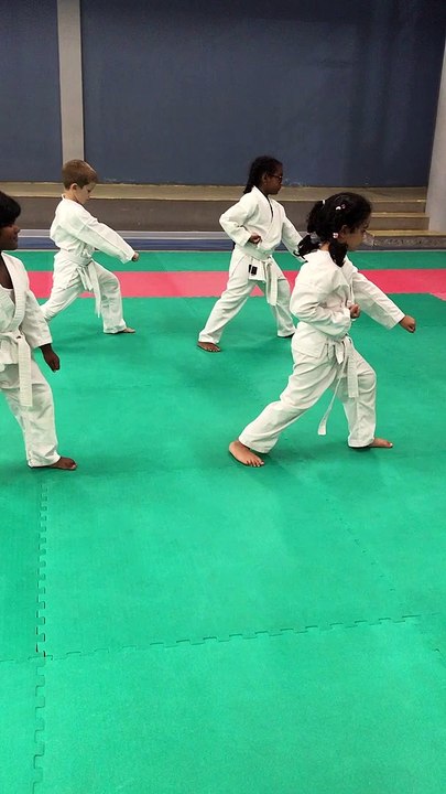 LES PREMIERS PAS VERS LA MAITRISE ???