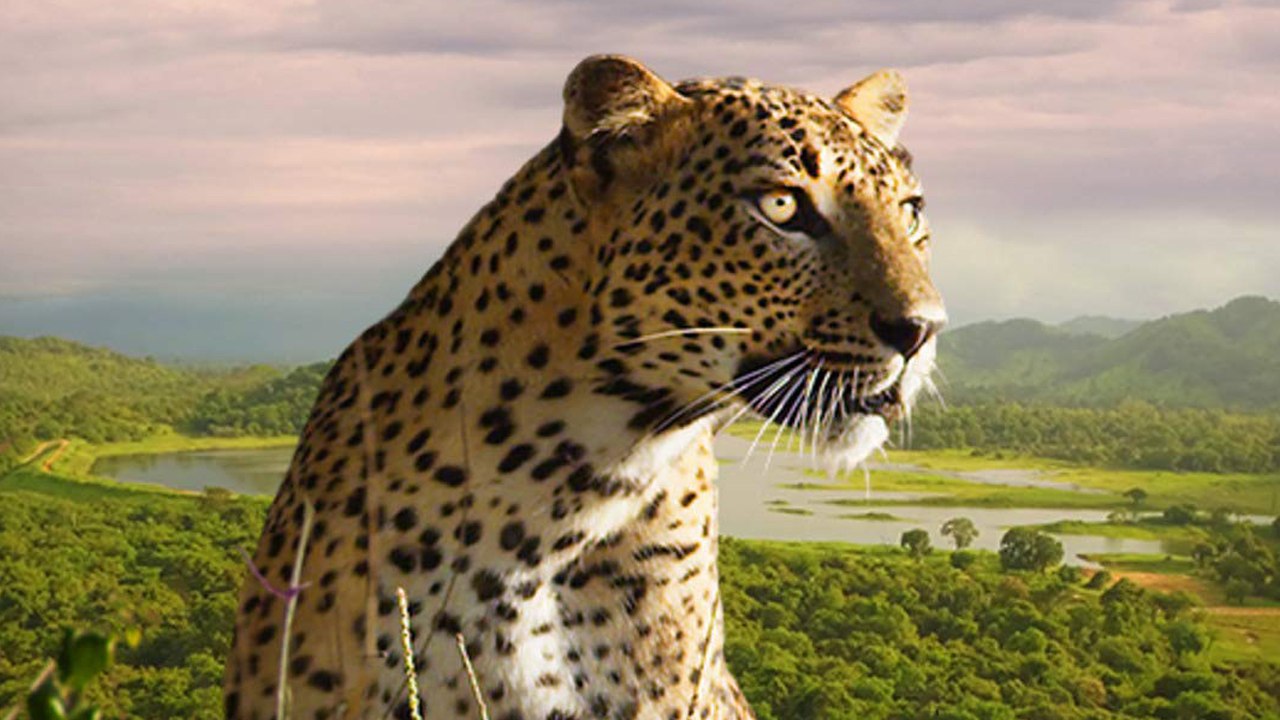 Gottes wilde Schöpfung Erde - Trailer (Deutsch) HD