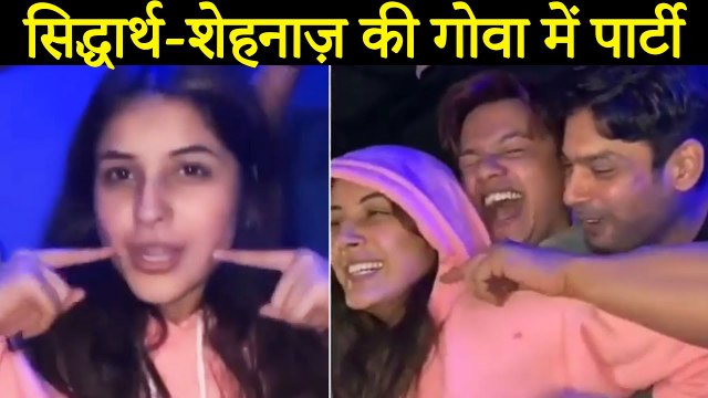 Sidharth Shukla-Shehnaaz Gill Celebration In Goa Groove Collectively To Shona Shona
