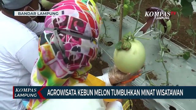 Melihat PKK Agropark, Destinasi Wisata Baru di Lampung