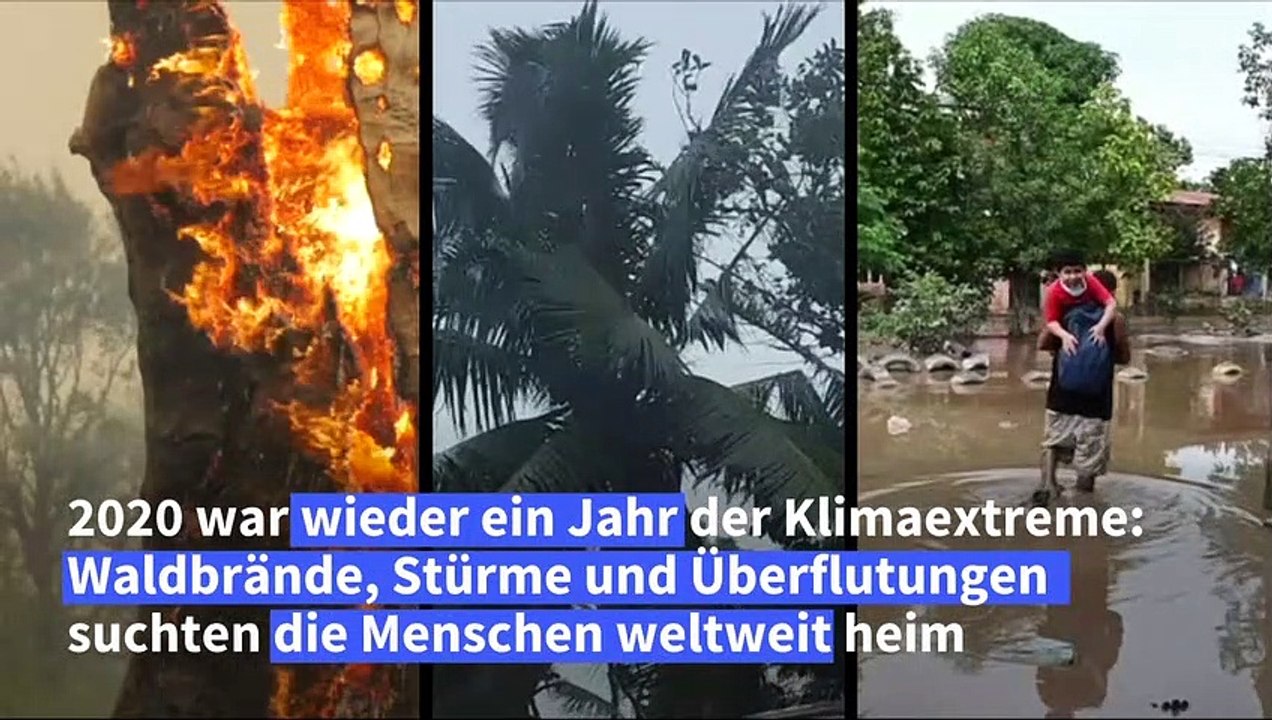 Klimaextreme 2020: Waldbrände, Stürme, Überflutungen