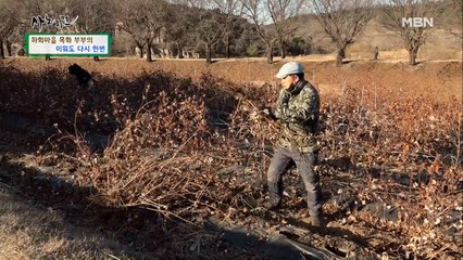 "하지 말라니까 그걸 왜 해!" 결국, 목화밭을 엎은 남편!