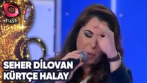 Seher Dilovan | Kürtçe Halay | Flash Tv
