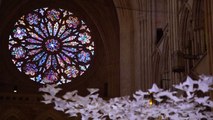 Thousands of paper doves symbolize hope for 2021 at Washington Cathedral