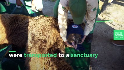 The last remaining animals have been rescued from Islamabad Zoo