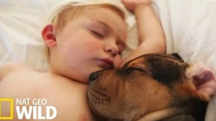 Une émouvante relation entre un chien et un enfant - Drôles d'amis