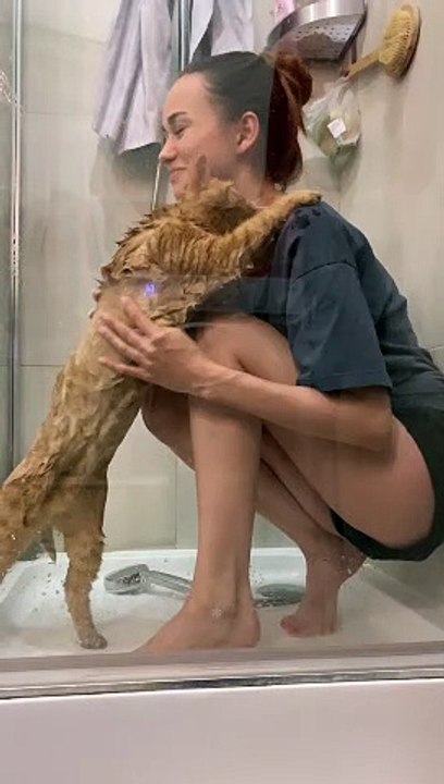 Standing Cat Gets Clean in Shower
