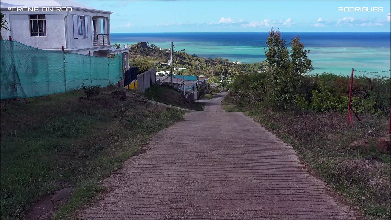 RODRIGUES: Allée Tamarin