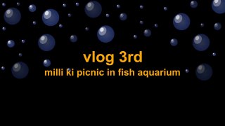 fish aquarium in jammu( milli ki picnic)
