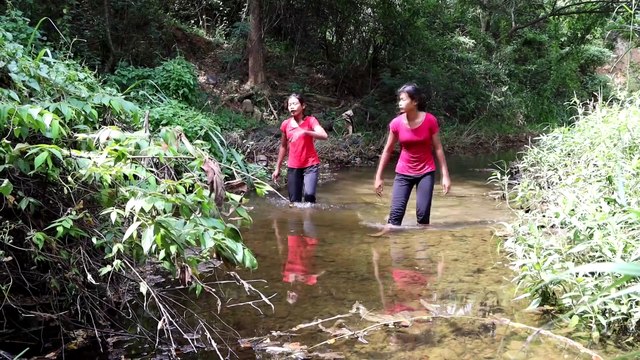 Catch and Cook Duck for food of survival in the forest - Yummy duck tasty cooking for Dinner