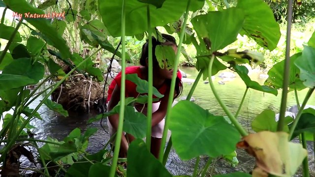 Catch and cook eel for lunch in jungle - Yummy cook eel recipe for eat delicious