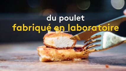 Singapour : de la viande artificielle servie dans un restaurant