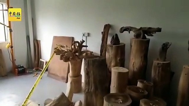 捣加工厂起90年沉香树 扣父子充公大批成品 (2)