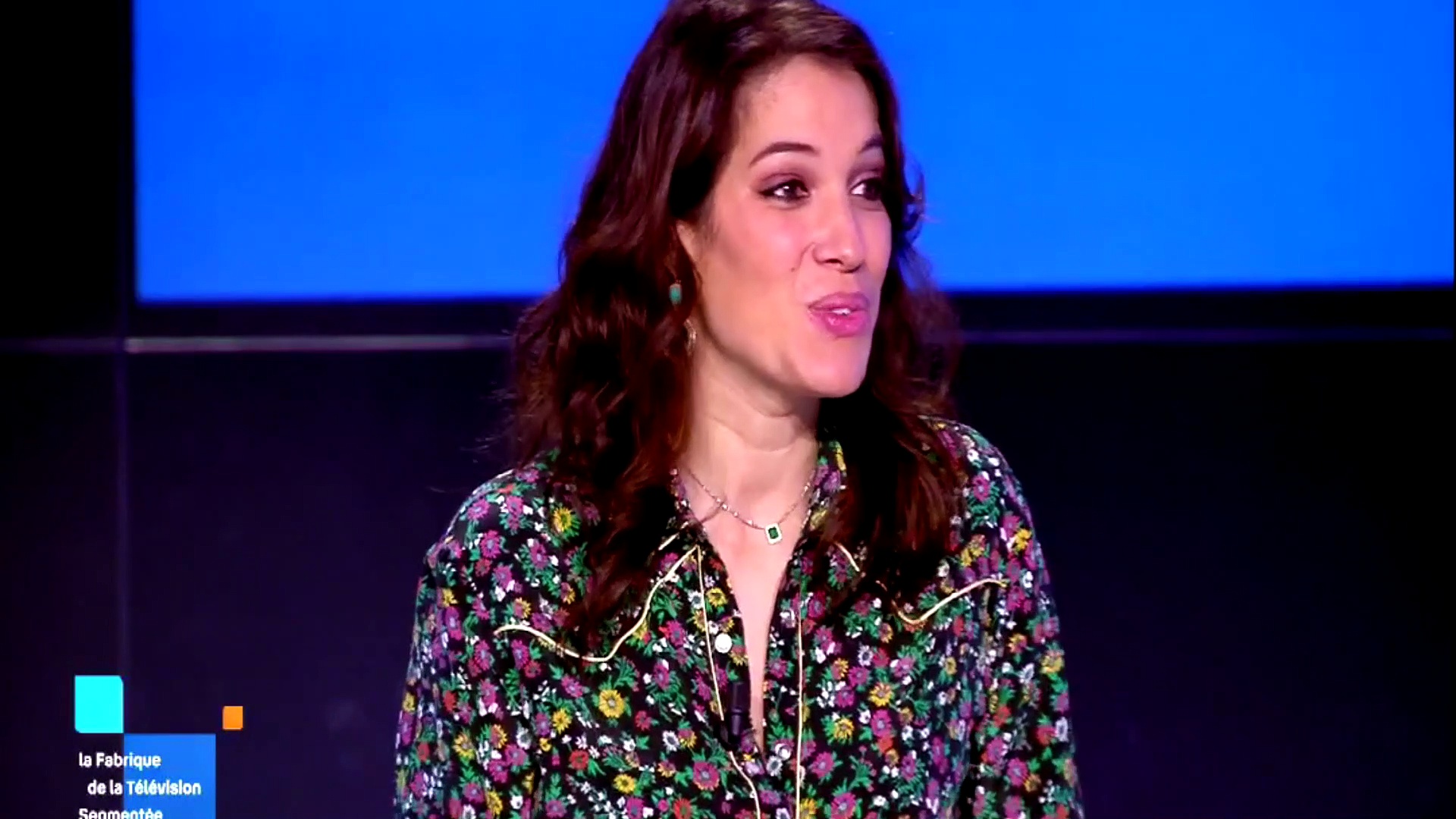 TV segmentée : les interviews